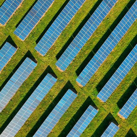 Auf einer grünen Sommerwiese stehen Solaranlagen und erzeugen aus dem Sonnenlicht Strom. 