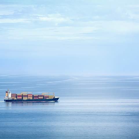 Containerschiff auf hoher See © BDI